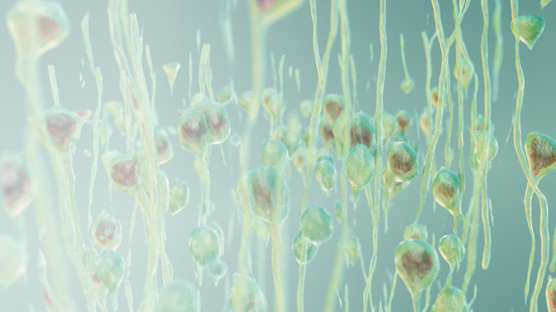 arivis AI-powered Bioimage Analysis