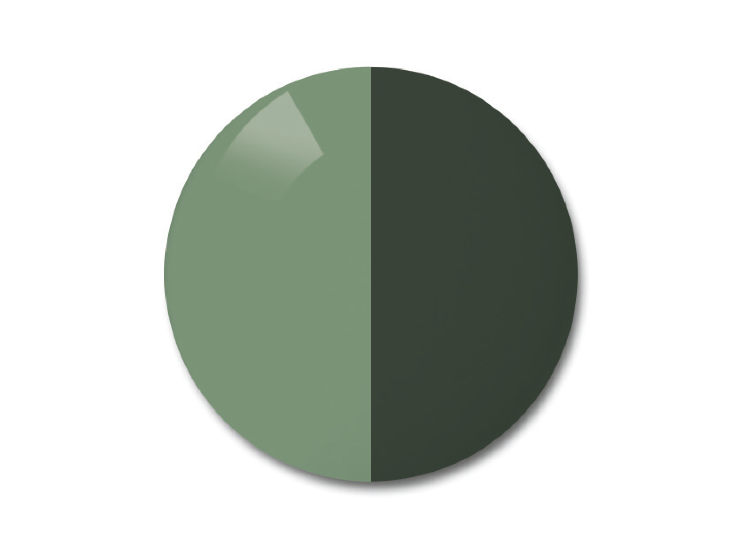 자이스 어댑티브선 변색 렌즈 중 단색 파이오니아 색상을 보여주는 이미지 