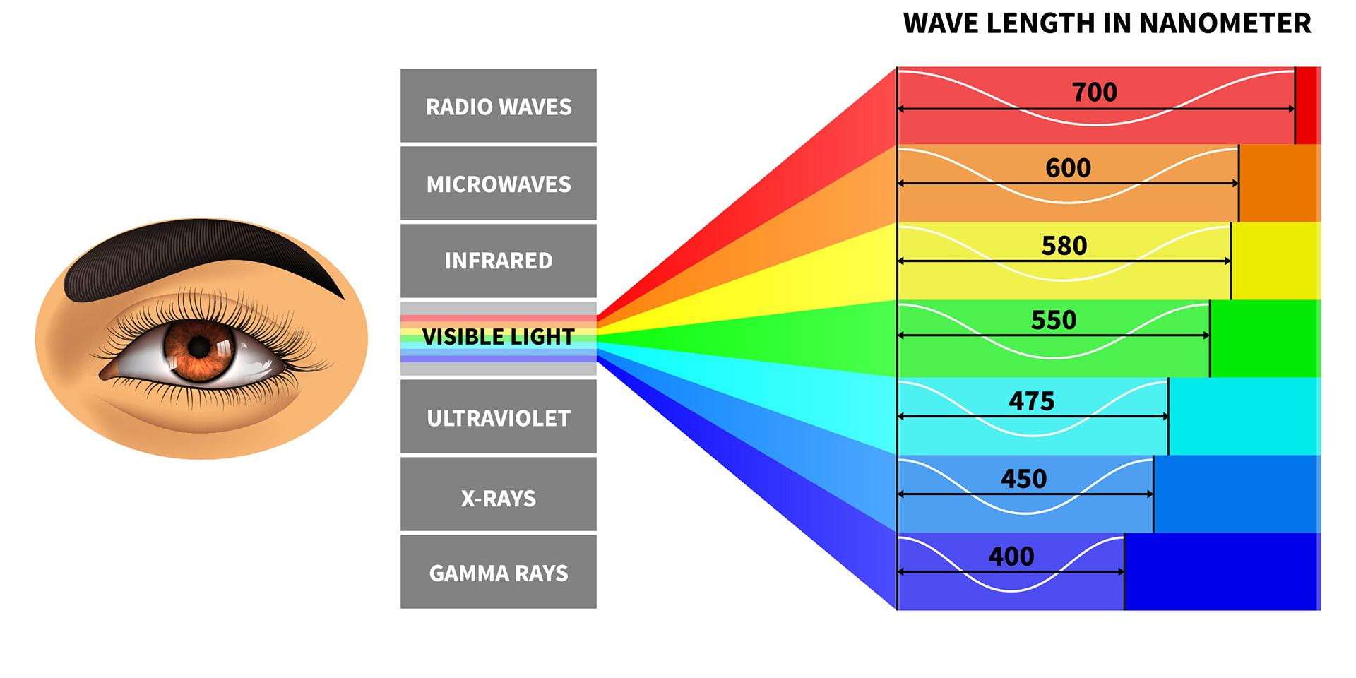 가시광선 스펙트럼(VIS)