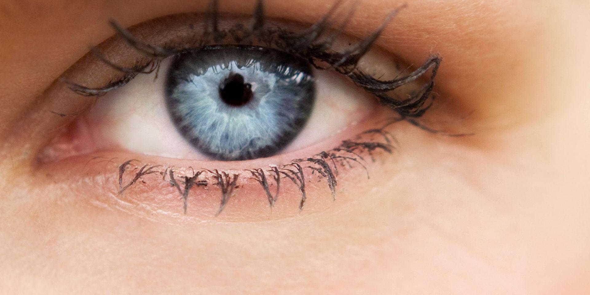 시력의 이해: 자이스의 시각의 기본 과정 연구