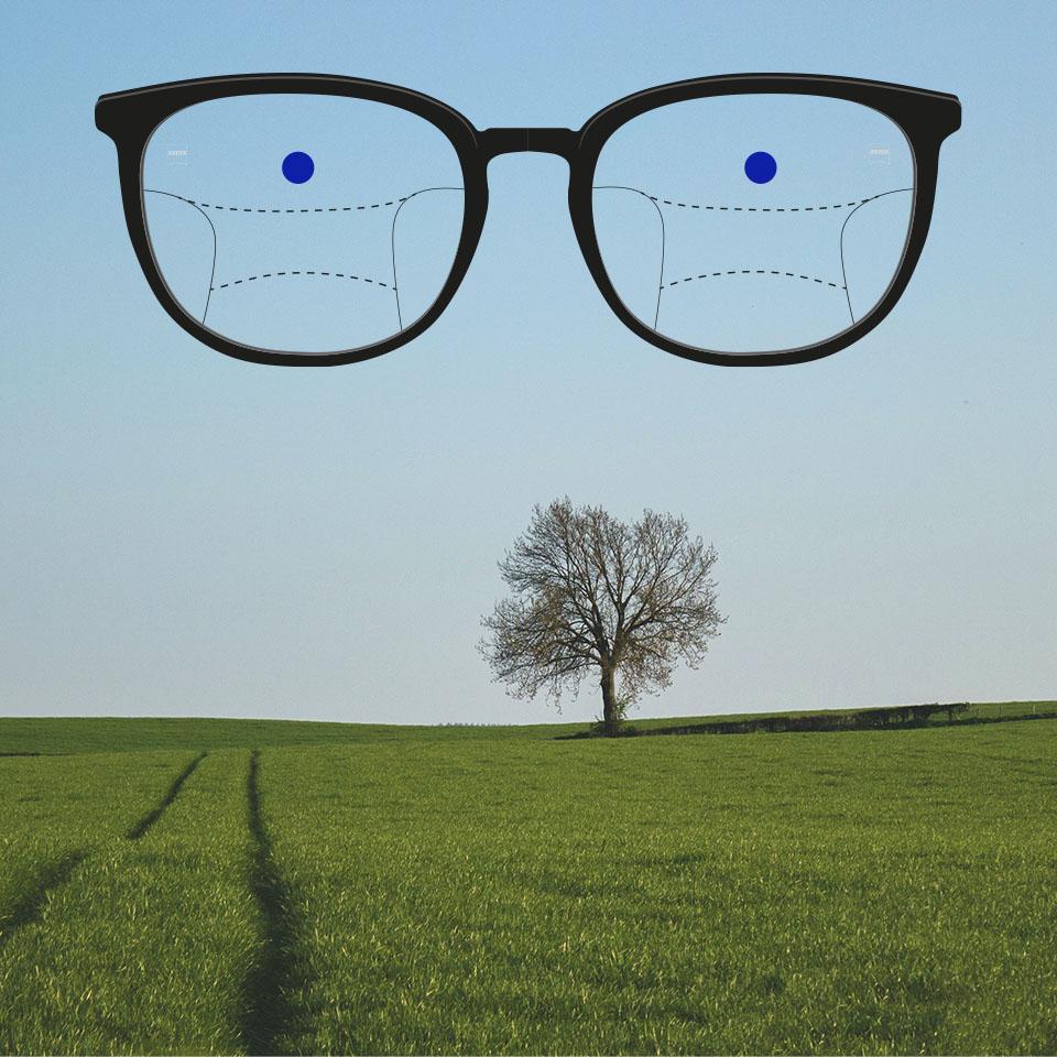 안경테에 장착된 누진 렌즈에 도식적 선이 그려져 다양한 시야부를 나타낸다. 시야부 설명을 클릭할 때마다 렌즈의 해당 시야부가 강조되어 표시된다: 원용부 - 안경의 윗부분.