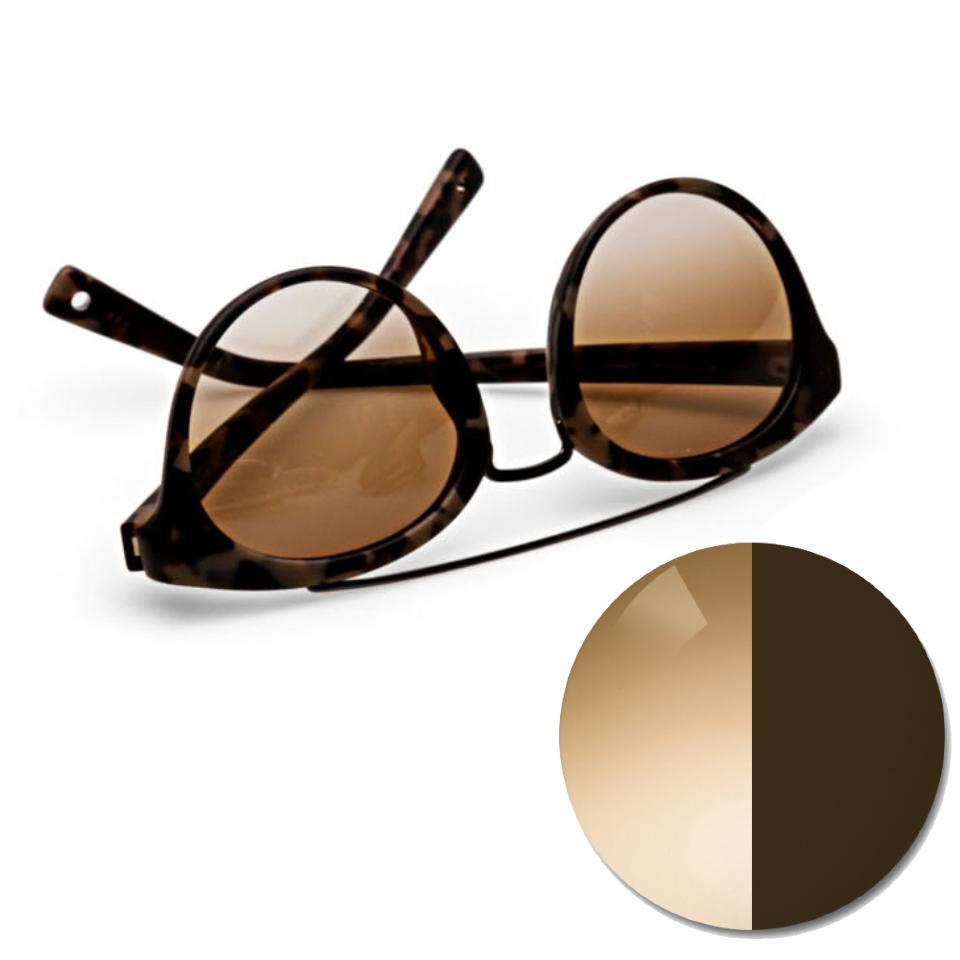 자이스 어댑티브선 그라데이션 브라운이 적용된 안경과 옅은 농도와 짙은 농도로 구분된 색상점