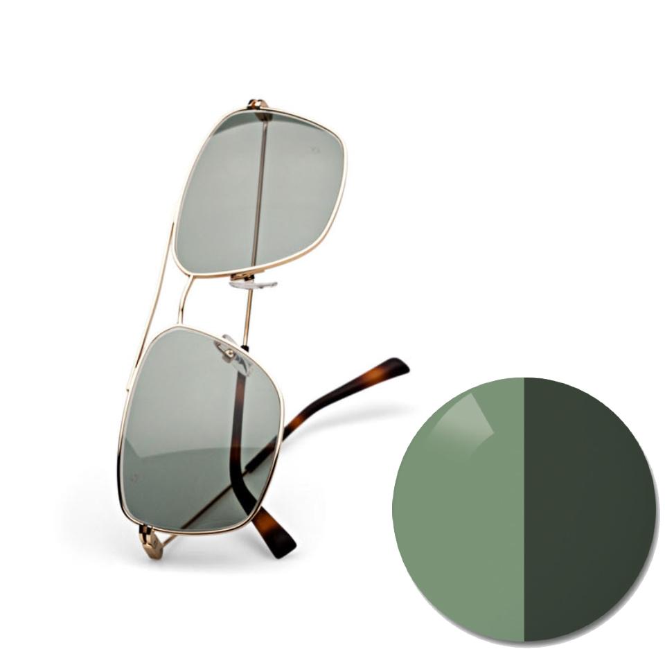 자이스 어댑티브선 단색 파이오니아가 적용된 안경과 옅은 농도와 짙은 농도로 구분된 색상점