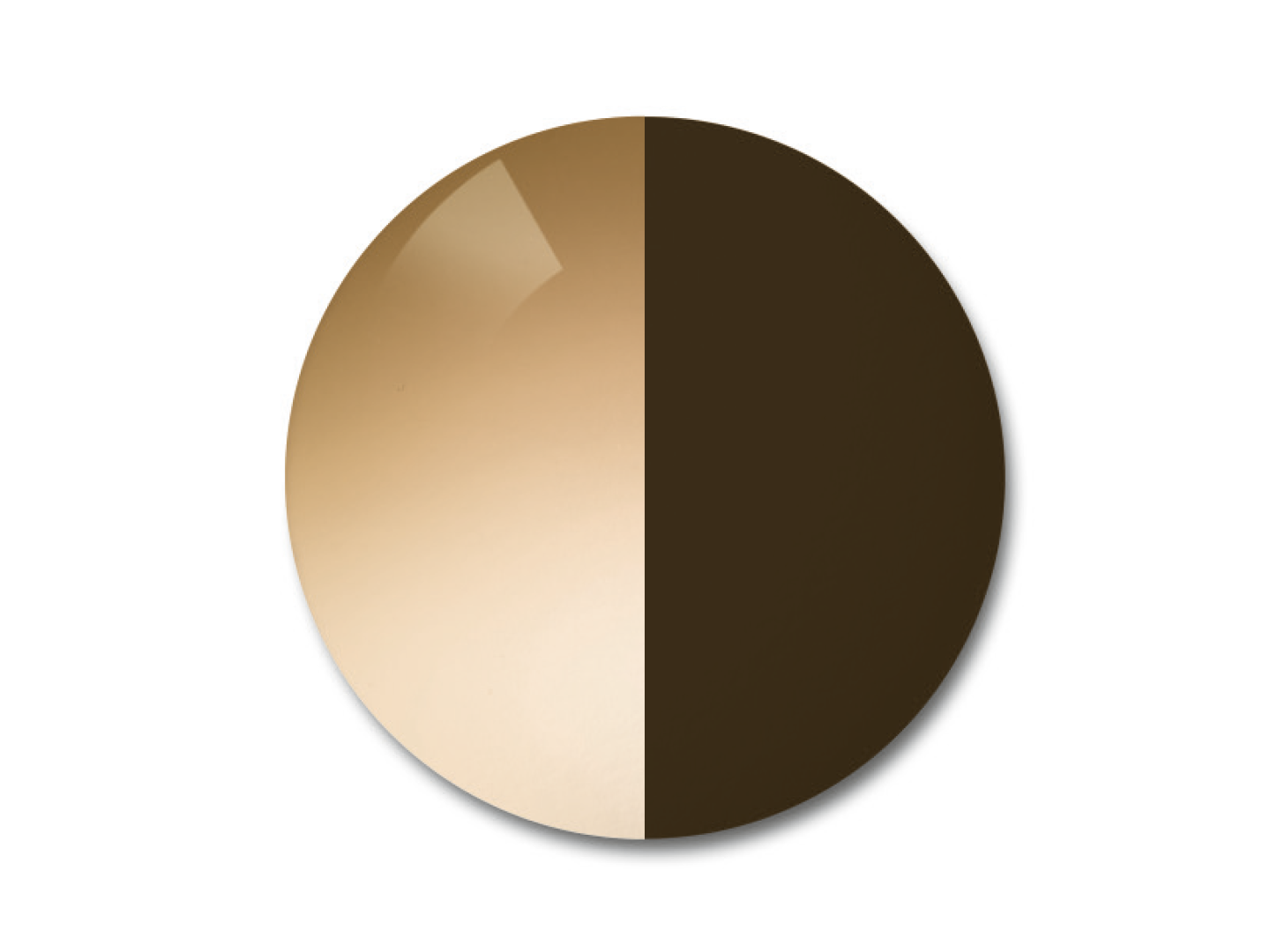 자이스 어댑티브선 변색 렌즈 중 그라데이션 브라운 컬러를 보여주는 이미지