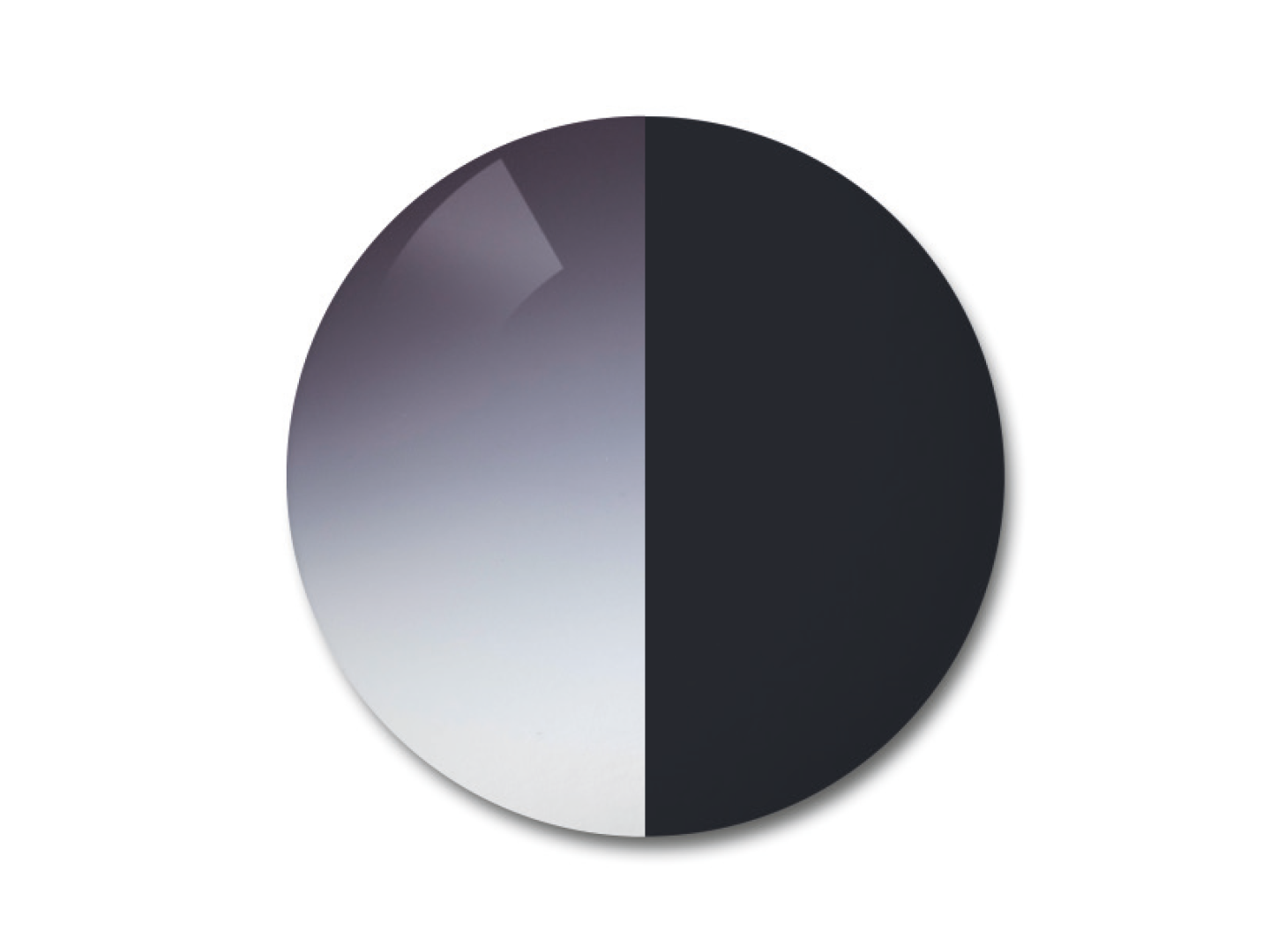 자이스 어댑티브선 변색 렌즈 중 그라데이션 그레이 색상을 보여주는 이미지 