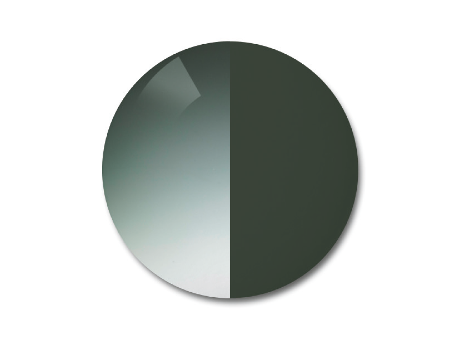 자이스 어댑티브선 변색 렌즈 중 그라데이션 파이오니아 컬러를 보여주는 이미지 