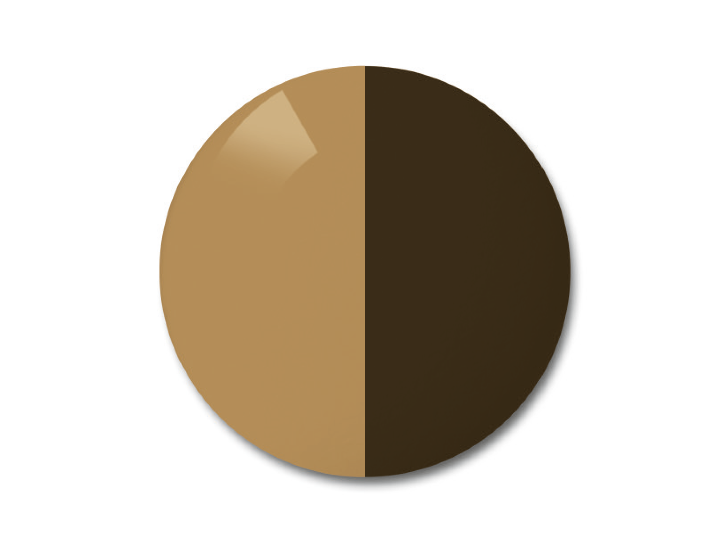 자이스 어댑티브선 변색 렌즈 중 단색 브라운 컬러를 보여주는 이미지